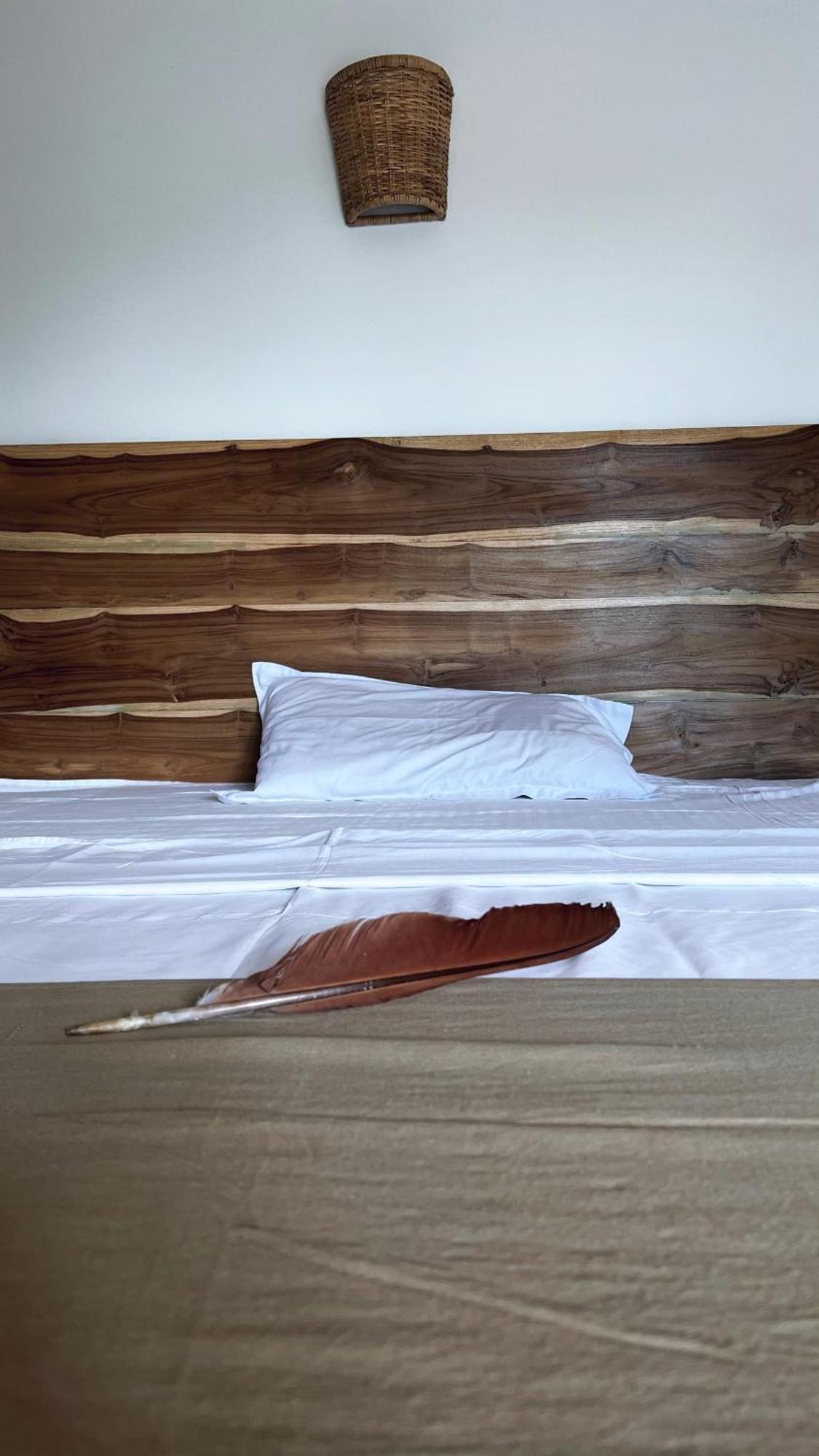 The Lookout Lodge تانجالي المظهر الخارجي الصورة