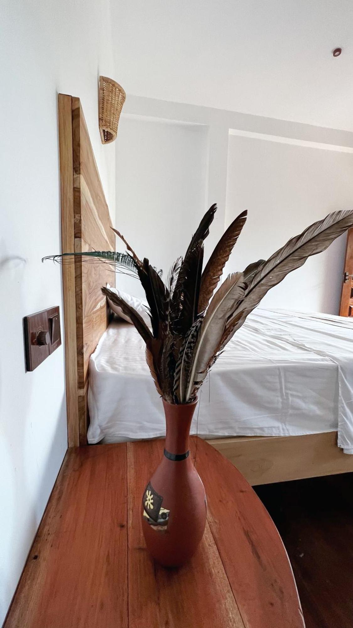 The Lookout Lodge تانجالي المظهر الخارجي الصورة