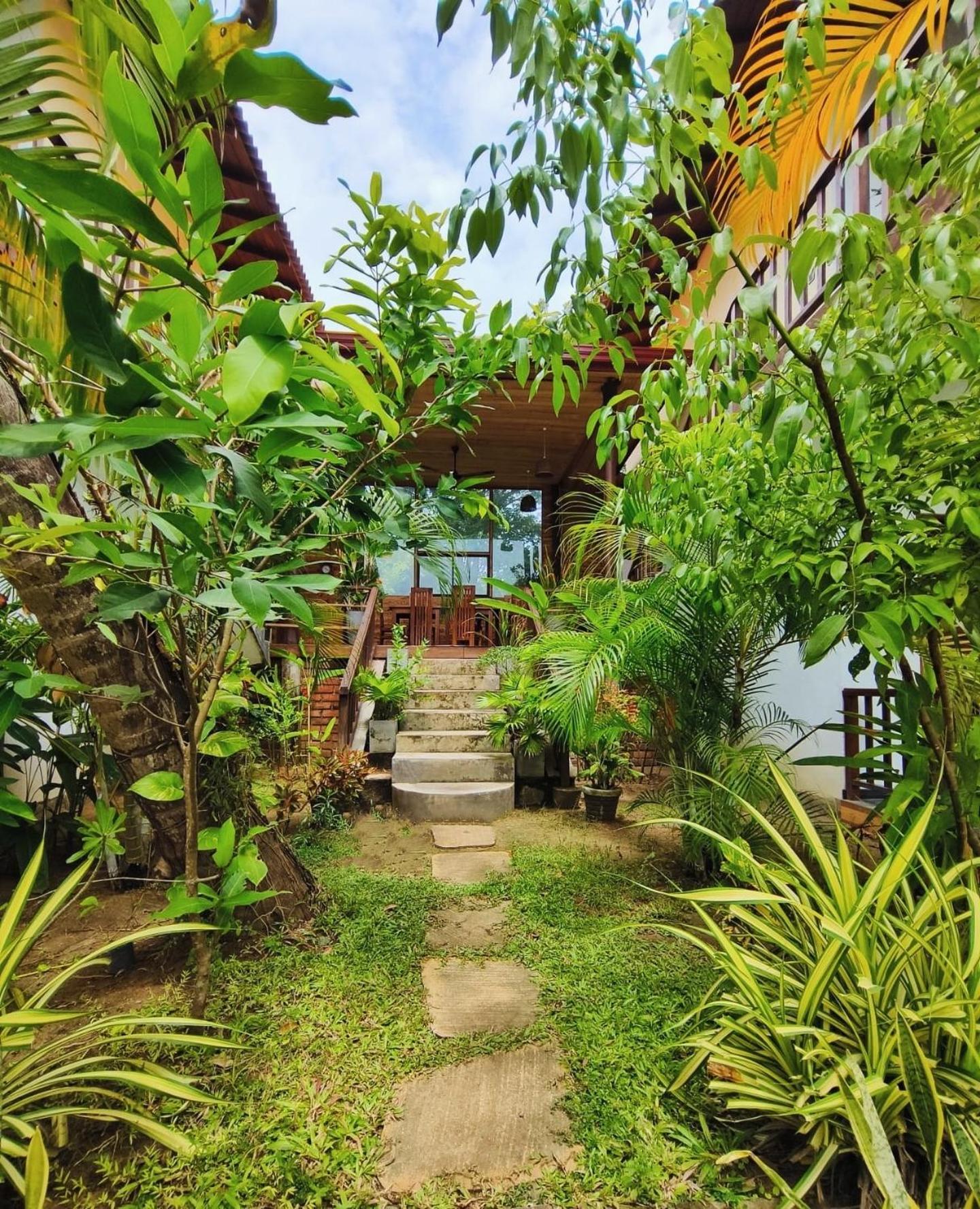 The Lookout Lodge تانجالي المظهر الخارجي الصورة